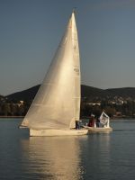 DSC02539.JPG
