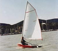 pille2-2.jpg