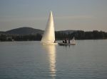 DSC02537.JPG